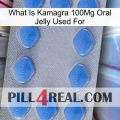 What Is Kamagra 100Mg Oral Jelly Used For 21